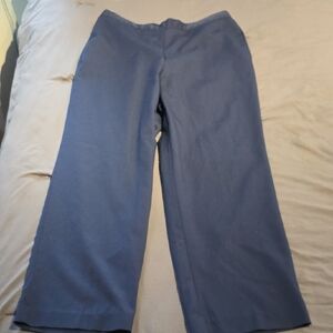 Alfred Dunner Blue Women's Trousers